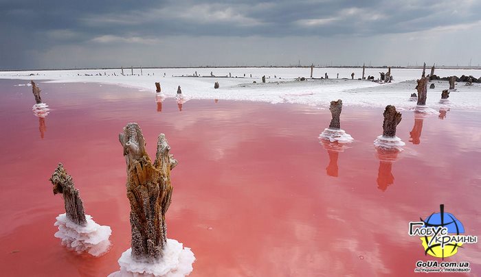 розовое озеро геническ экскурсия из запорожья